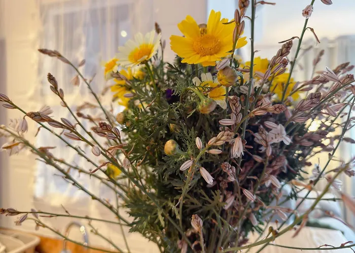 Marino - 2br Retreat W Patio & Swimming Pool *