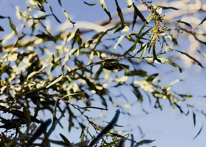 Marino - 2br Retreat W Patio & Swimming Pool