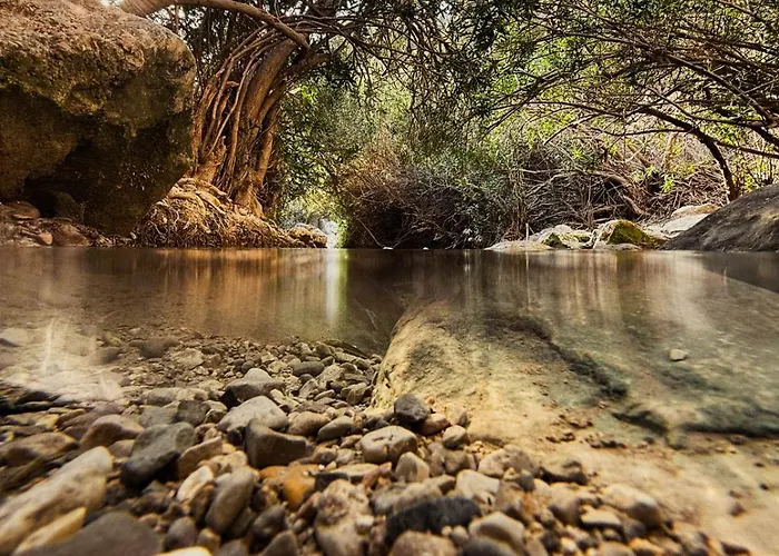 Semesterbostad Marino - 2br Retreat W Patio & Swimming Pool *