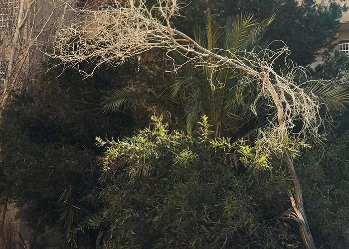 Marino - 2br Retreat W Patio & Swimming Pool *