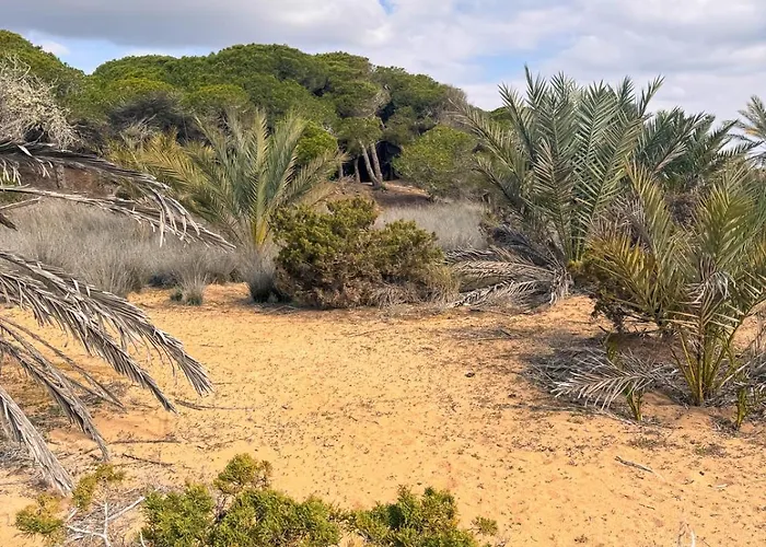 Marino - 2br Retreat W Patio & Swimming Pool Semesterbostad *