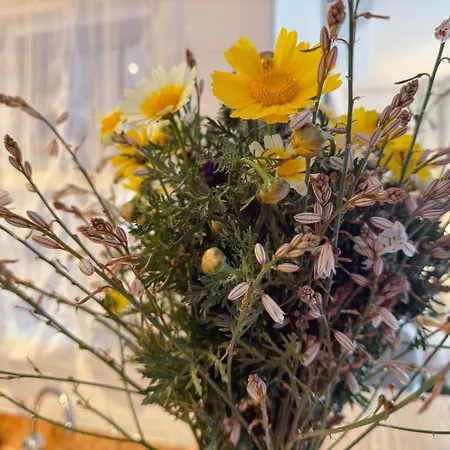 Marino - 2br Retreat W Patio & Swimming Pool *