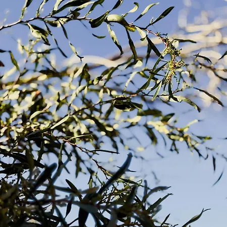 Marino - 2br Retreat W Patio & Swimming Pool