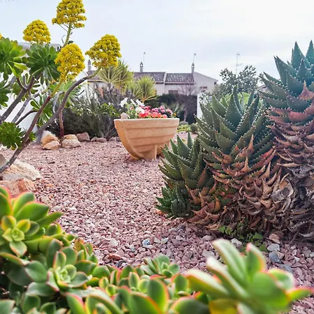 Marino - 2br Retreat W Patio & Swimming Pool